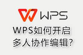 WPS Office多人协同编辑功能介绍与实操技巧？