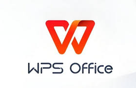 WPS 表格数据有效性与输入控制设置详解与问题排查？